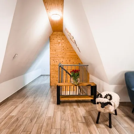 Daire Visitzakopane Tatrahome Kościelisko