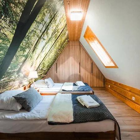 Visitzakopane Tatrahome Daire Kościelisko